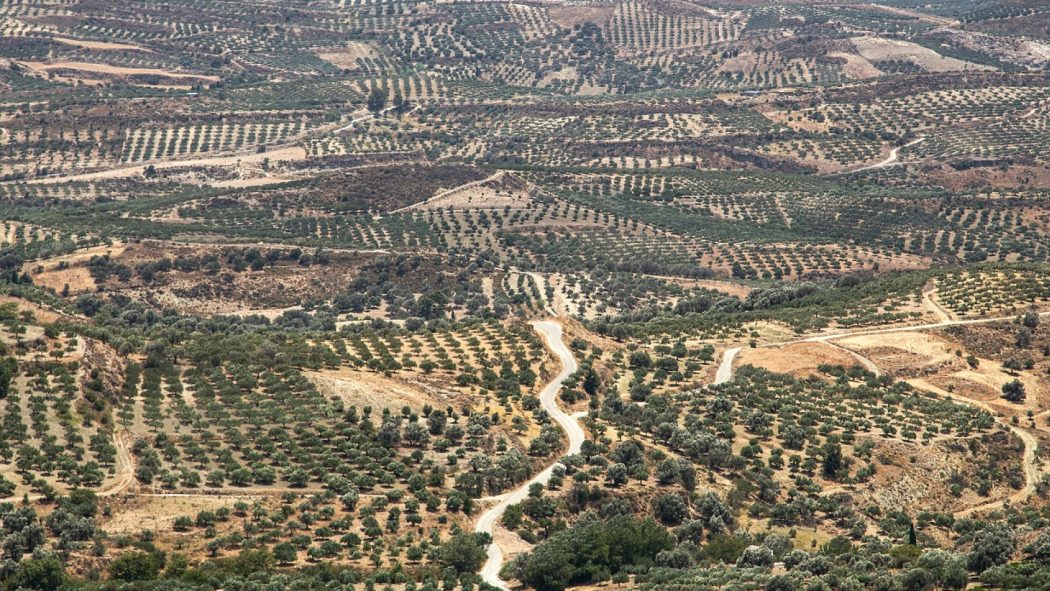 Choisir la Grèce pour un voyage inoubliable