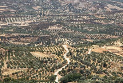 Choisir la Grèce pour un voyage inoubliable